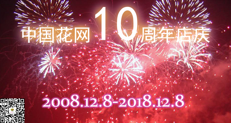 中国花网10周年 中国花网10周年